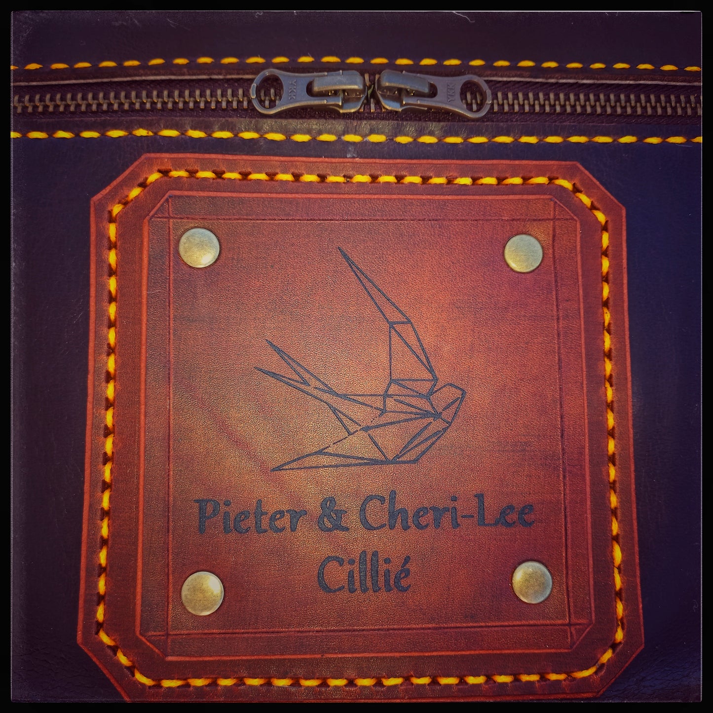 Cillie Hand Luggage Bag